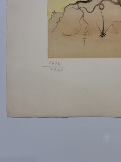 Asher - Image 5