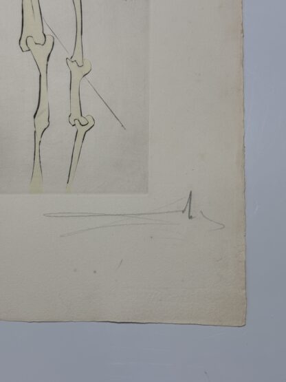 Neftalí - Image 5