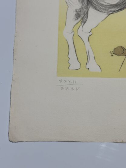 Joseph - Image 4