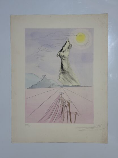 Benjamín - Image 7