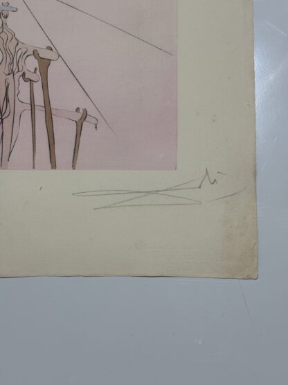 Benjamín - Image 5
