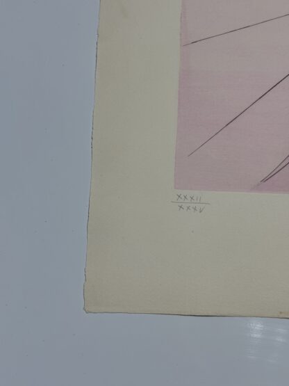 Benjamín - Image 4