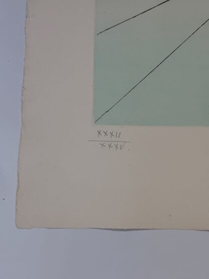 Simón - Image 3