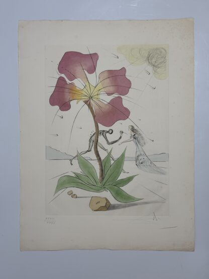 Reubén - Image 3