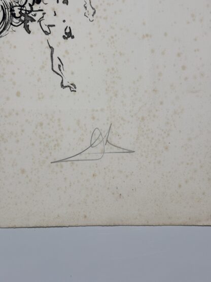 Caballo - Image 5