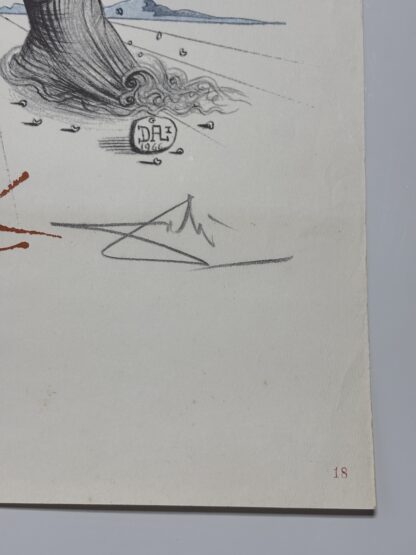 Cinco continentes - Image 4