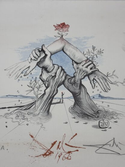 Cinco continentes - Image 2
