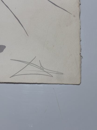 Barometer Woman" (Mujer Barómetro) - Image 6