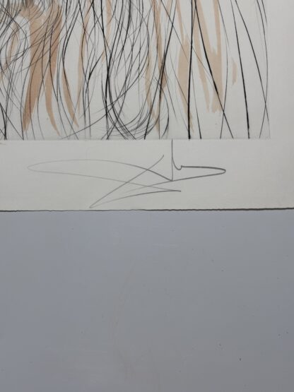 Hommage à Leonardo da Vinci - Image 4